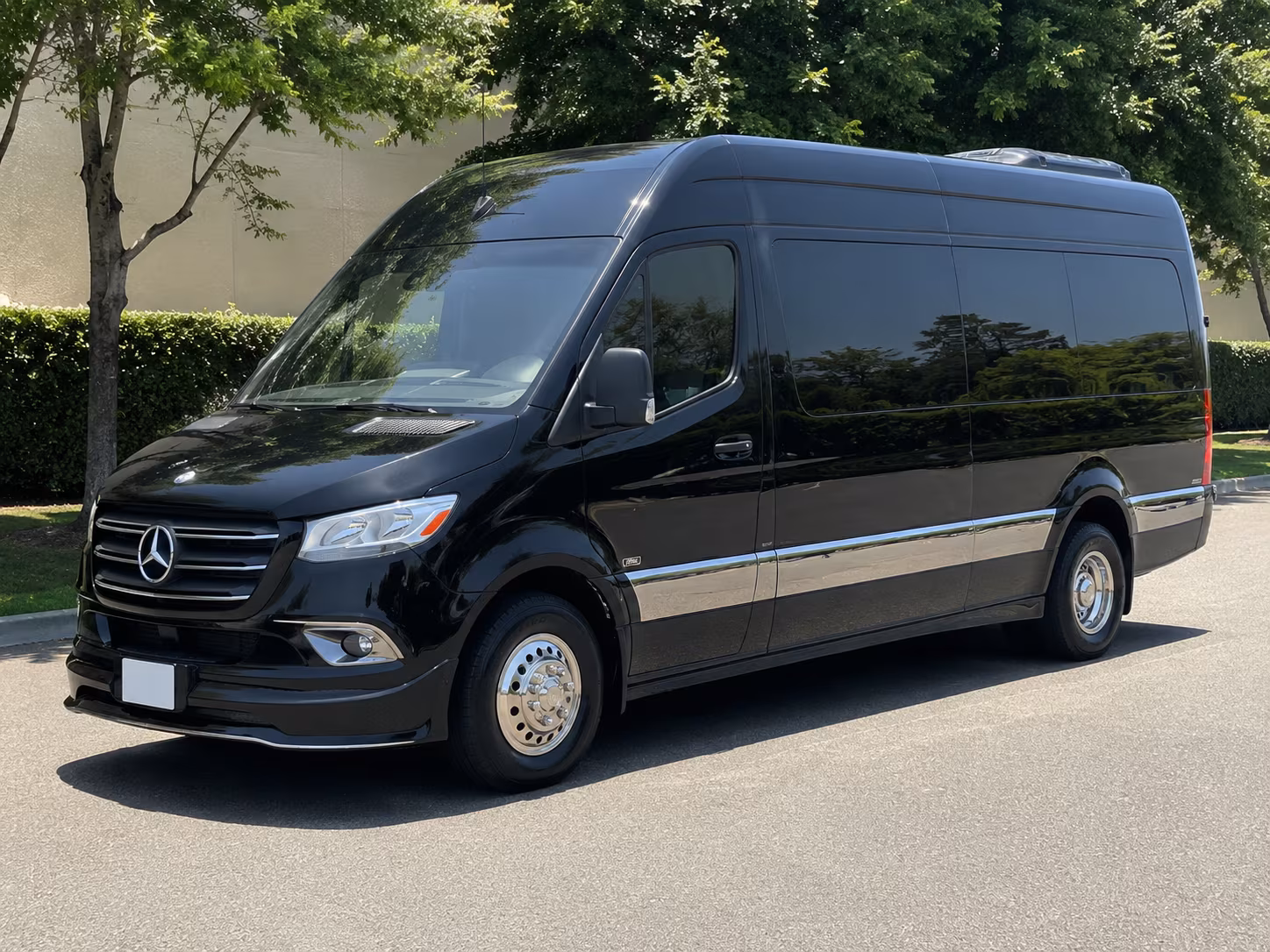 burbank 18 passenger sprinter van